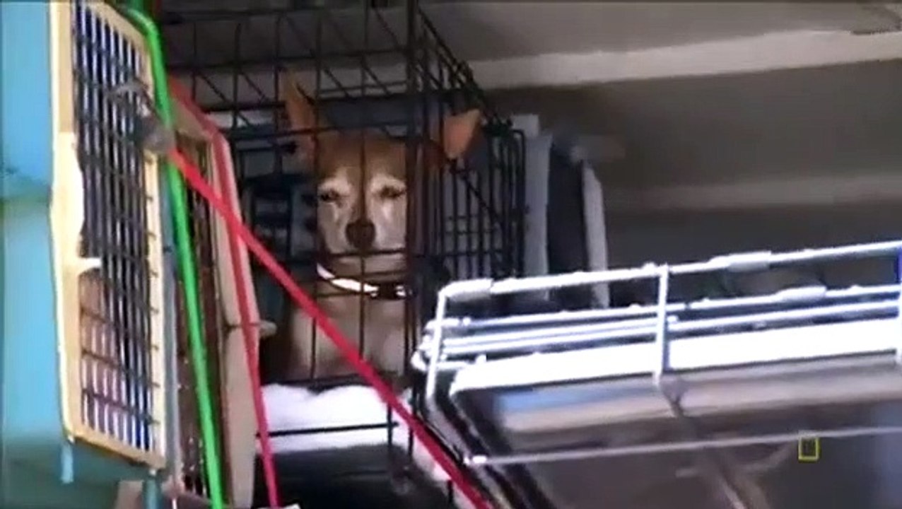 Border Security - Canada's Front Line - Se3 - Ep10 HD Watch HD Deutsch