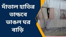 দাঁতাল হাতির তান্ডবে ভাঙল ঘর বাড়ি