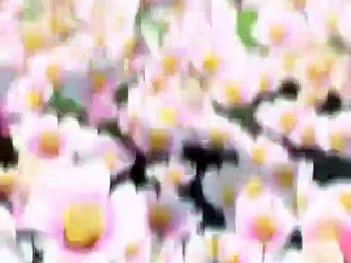 Ai Yori Aoshi - Ep08 HD Watch HD Deutsch