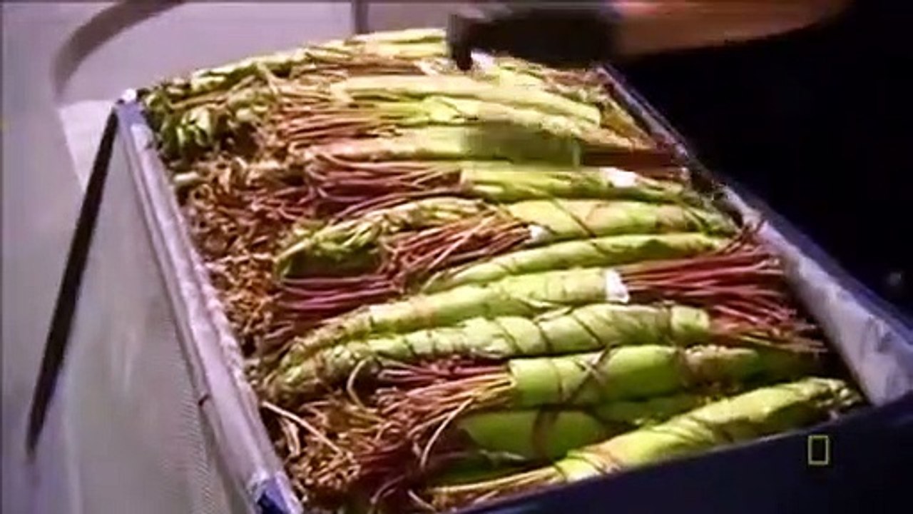 Border Security - Canada's Front Line - Se3 - Ep05 HD Watch HD Deutsch