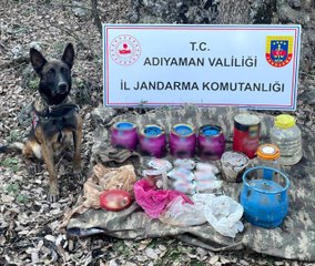 Dedektör köpek Leylak, teröristlere ait erzak ve lojistik malzeme buldu