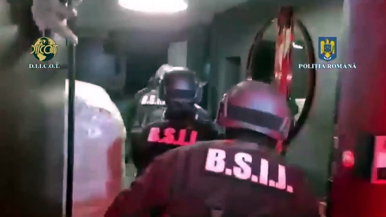 Von der Pizzabox überführt? Influencer Andrew Tate nach Attacke gegen Greta Thunberg festgenommen