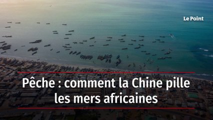 Pêche : comment la Chine pille les mers africaines