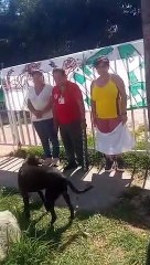 Santa Cruz: Instalan vigilia en oficinas de Emapa y toman oficina de Fiscalía en Los Tusequis