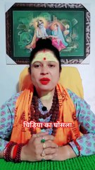 चिड़िया का घोंसला #shorts #viral #dailymotion shorts