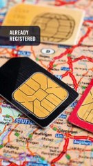 Red onion pricier as New Year approaches | The wRap