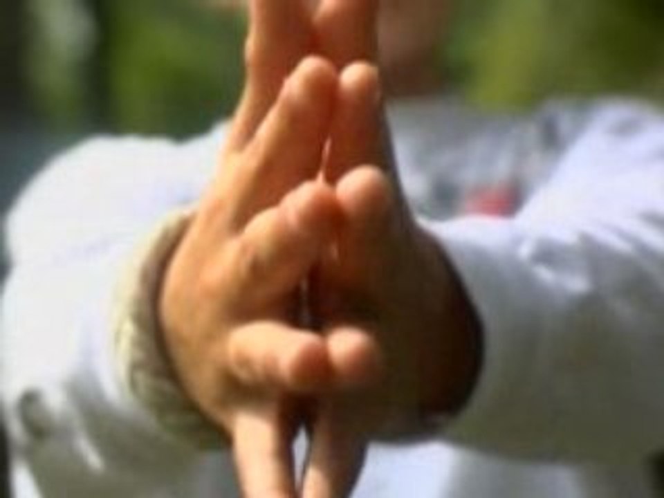 Hand Vagina