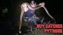 Fearless man dives into lake to catch MASSIVE Python at midnight