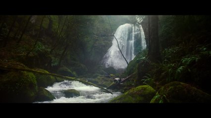 65 La Terre d'Avant Bande Annonce