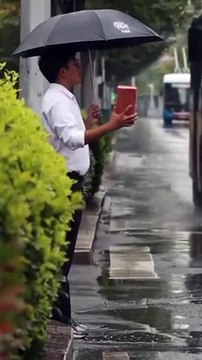 Petite expérience sociale sous la pluie... arrosé ou pas arrosé par les voitures