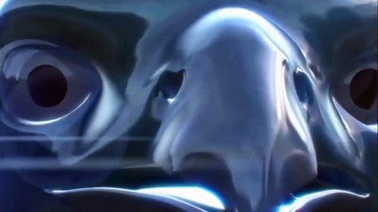 Leopard Gives Birth In Dangerous From Eagle Hunting (2)