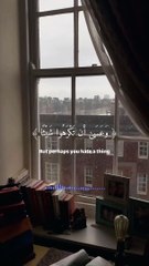 القارئ : فارس عباد #quran