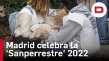 Más de un centenar de personas y sus mascotas recorren Madrid en la 'Sanperrestre'