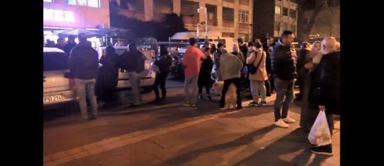 FATİH'TE EVCİL HAYVANLARA ÇİP TAKMADA AKŞAM YOĞUNLUĞU