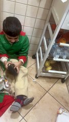 Boy Pranked With Fake Phone Gift