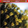 अंतरिक्ष से जुड़ी 10 रोचक बातें----_ 10 Interesting Facts About Space In Hindi  short