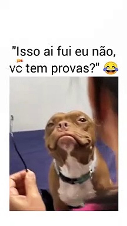 Status #650