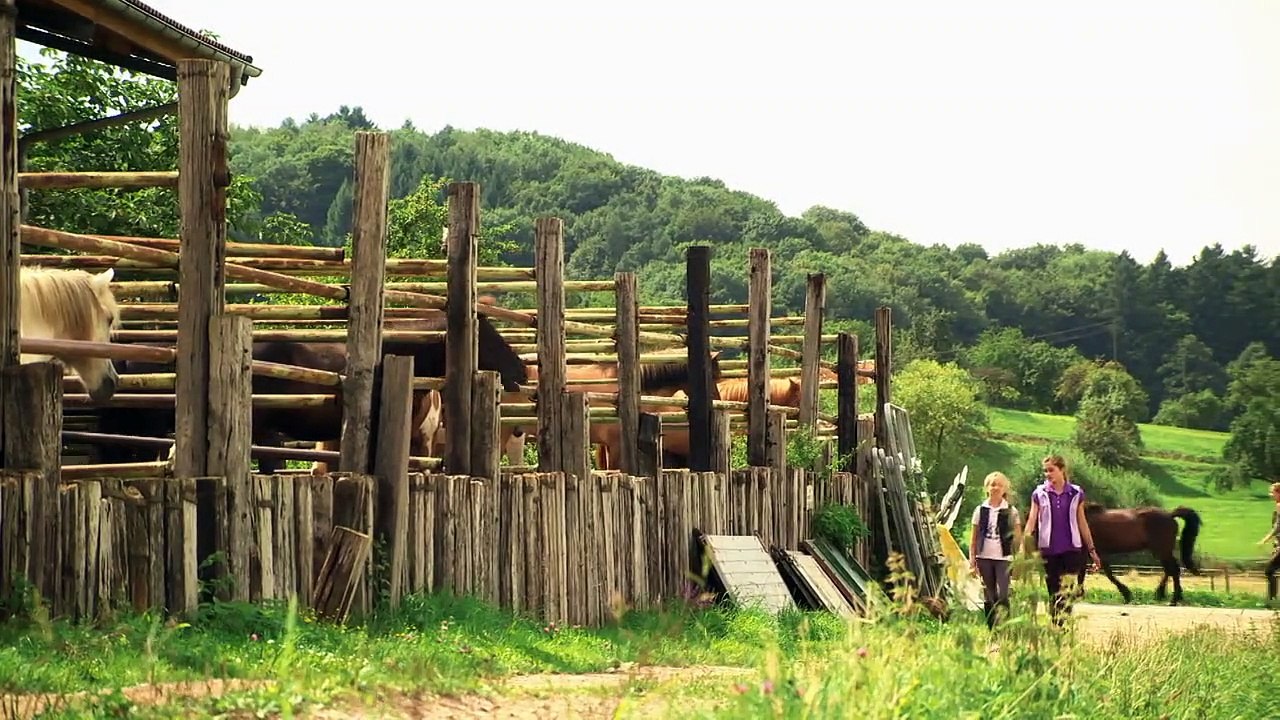 Tiere bis unters Dach Staffel 4 Folge 7