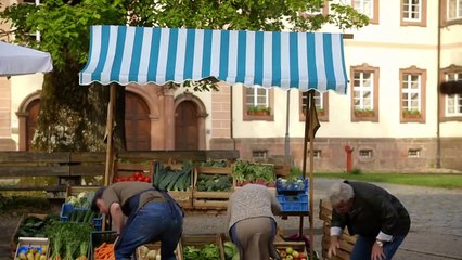 Tiere bis unters Dach Staffel 4 Folge 10