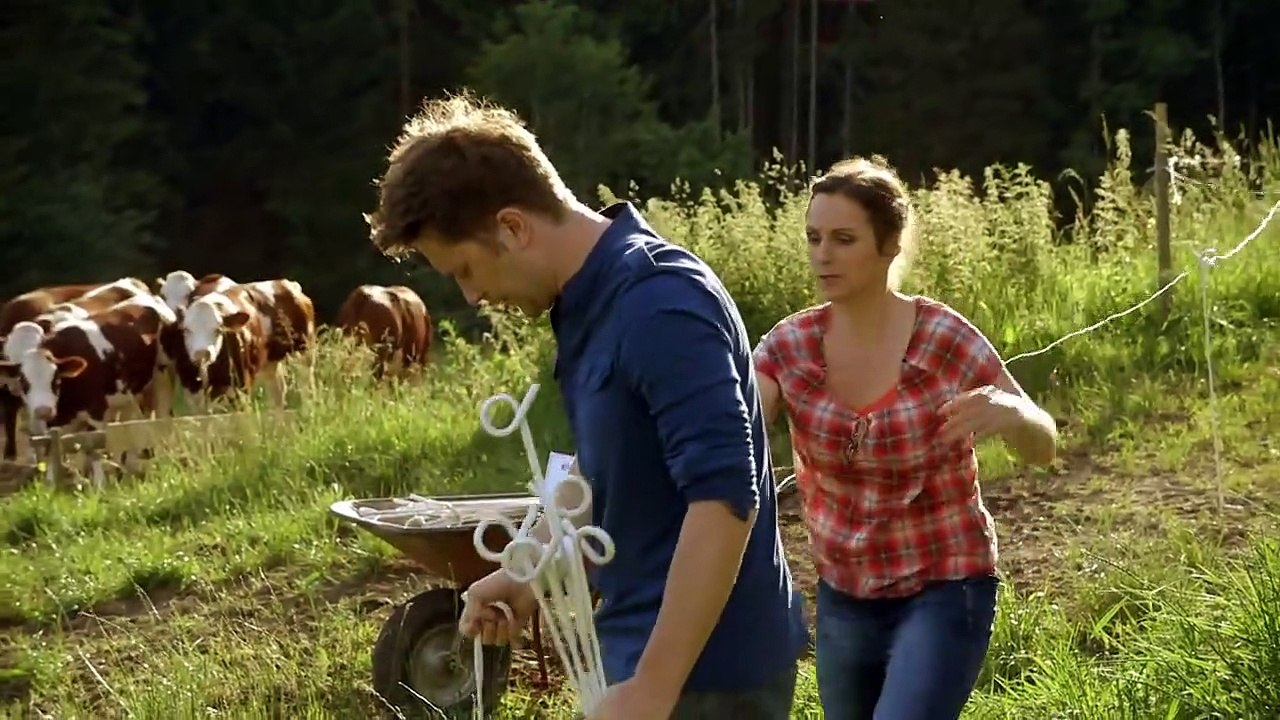 Tiere bis unters Dach Staffel 4 Folge 12