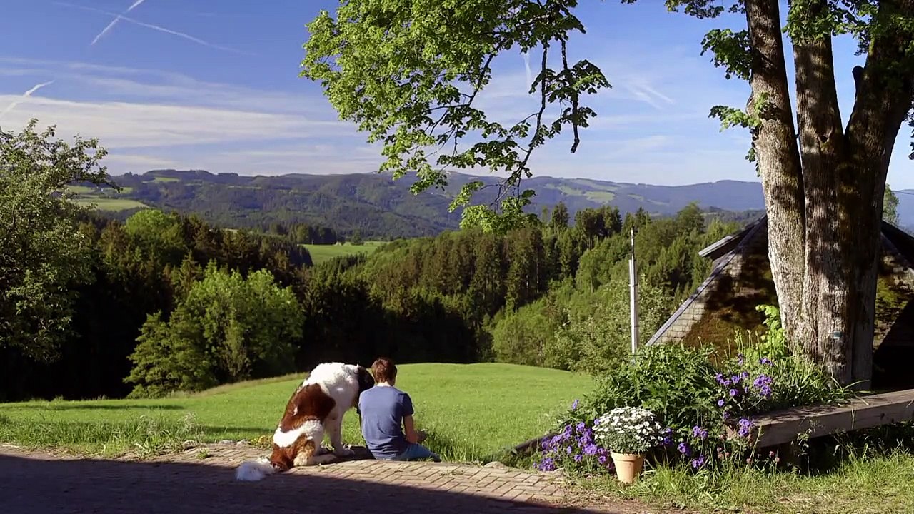 Tiere bis unters Dach Staffel 4 Folge 13