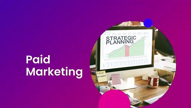 Result Oriented Best Digital Marketing Service _ TZS Digital