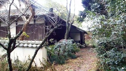 Really Old Japanese Temple