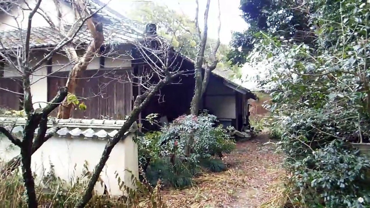 Really Old Japanese Temple