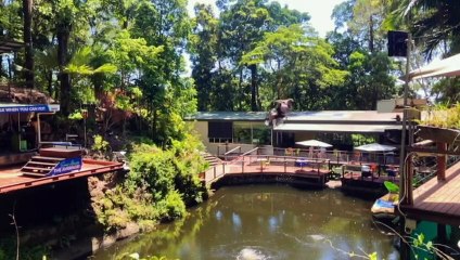 Improving accessibility is a 2023 focus for Queensland tourism