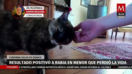 Confirman resultado positivo a rabia en menor que murió tras ser mordido en Oaxaca