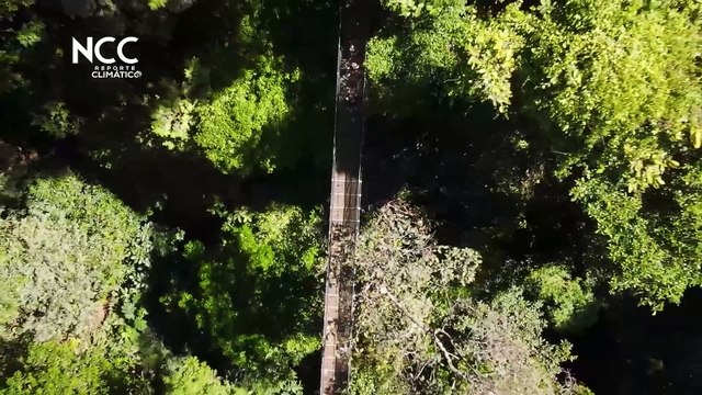 Reporte Climático 74 | La lucha de Costa Rica contra el cambio climático