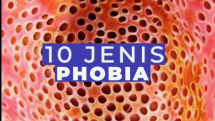 10 Jenis Phobia yang Sering Dijumpai di Sekitar Kita siapa tau kita salah satunya