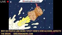 105107-mainWhy do people like being tipsy? Here's how alcohol affects the brain. - 1breakingnews.com