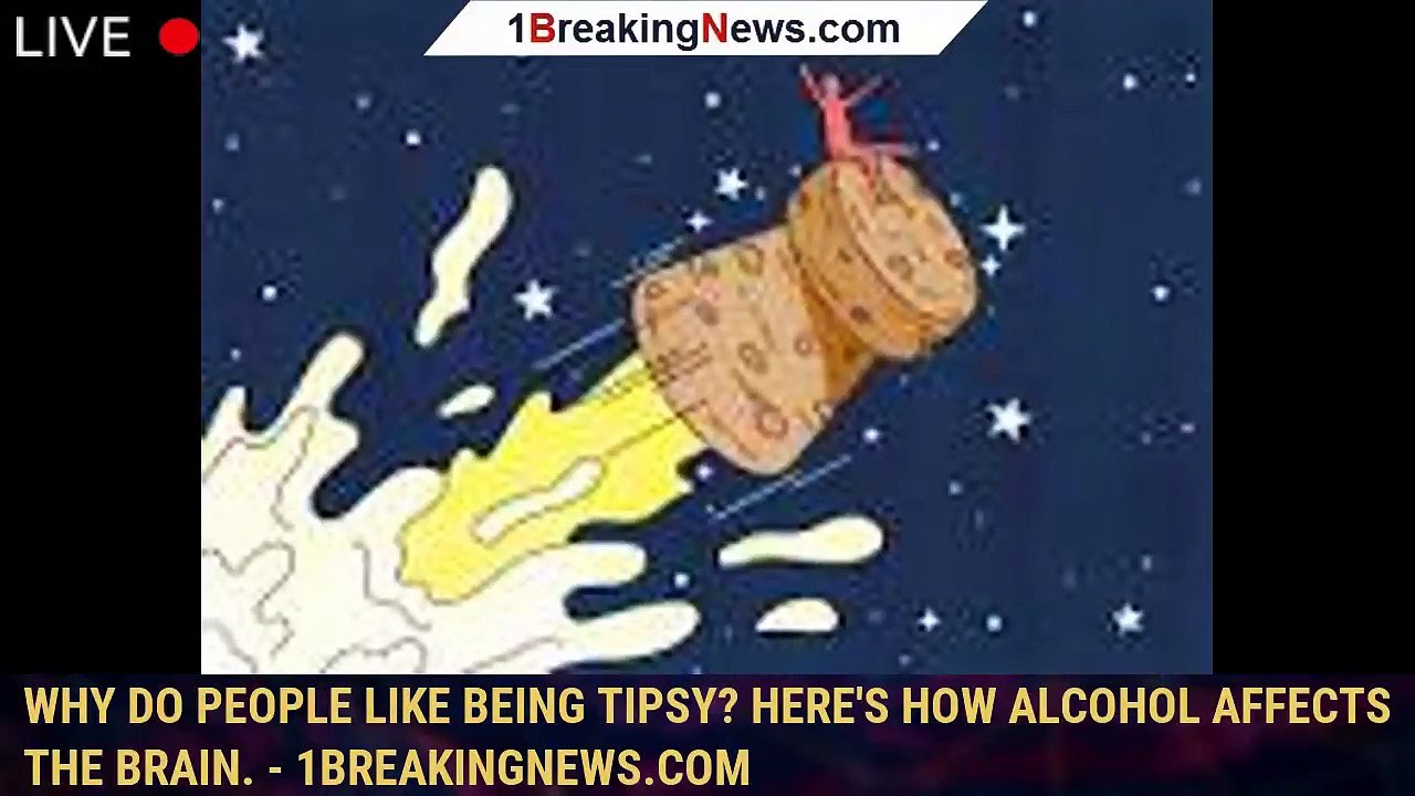 105107mainWhy do people like being tipsy? Here's how alcohol affects