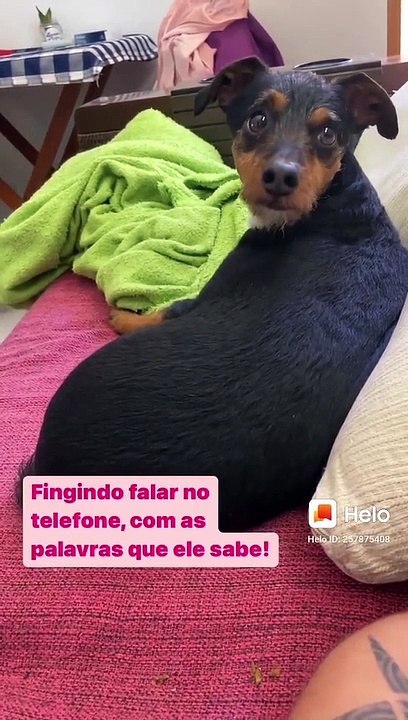 Status #654