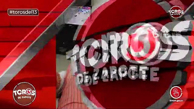 Amor enel aire mascotas, Corrida 30 dic tarde toros Zapote