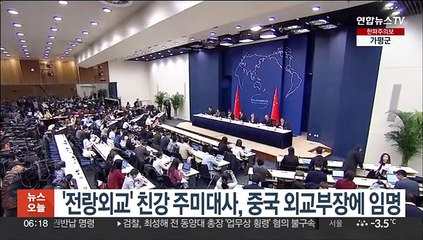 중국, 신임 외교부장에 친강 주미대사 임명