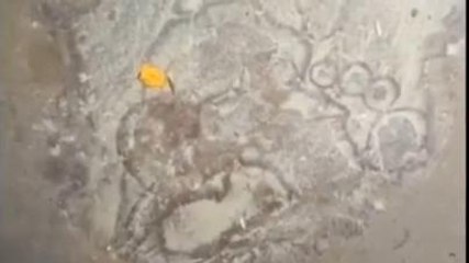 viral video: कुलदेवी भगवती घर में दिखा पांव का निशान, श्रद्धालुओं की उमड़ी भीड़