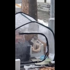 �� You Definitely Laugh, Trust me �� - Funniest Cats Expression Video �� - Funny Cats Life