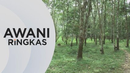 AWANI Ringkas: Insentif pengeluaran getah diaktifkan