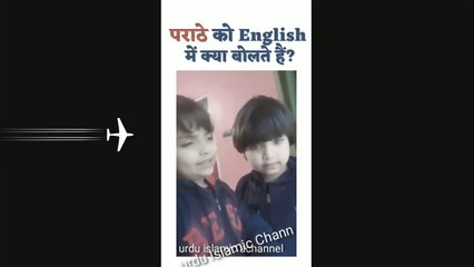 What is Paratha in English? 🍽️ Find Out the English Name for Paratha