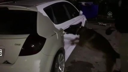 Tırın dorsesindeki otomobilde 2 kilo 216 gram esrar ele geçirildi