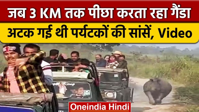 Assam के Manas National Park में Tourist Car का पीछा करते दिखा Rhino | वनइंडिया हिंदी | #Shorts
