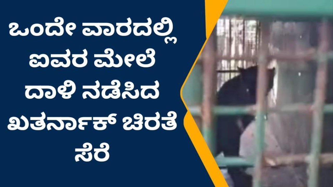 ಒಂದೇ ವಾರದಲ್ಲಿ ಐವರ ಮೇಲೆ‌ ದಾಳಿ ನಡೆಸಿದ ಖತರ್ನಾಕ್ ಚಿರತೆ ಸೆರೆ