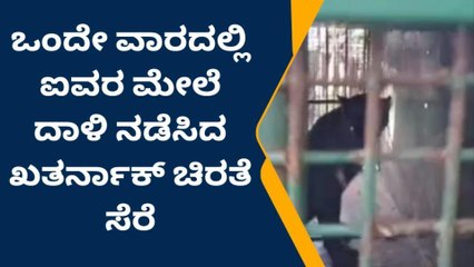 ಒಂದೇ ವಾರದಲ್ಲಿ ಐವರ ಮೇಲೆ‌ ದಾಳಿ ನಡೆಸಿದ ಖತರ್ನಾಕ್ ಚಿರತೆ ಸೆರೆ