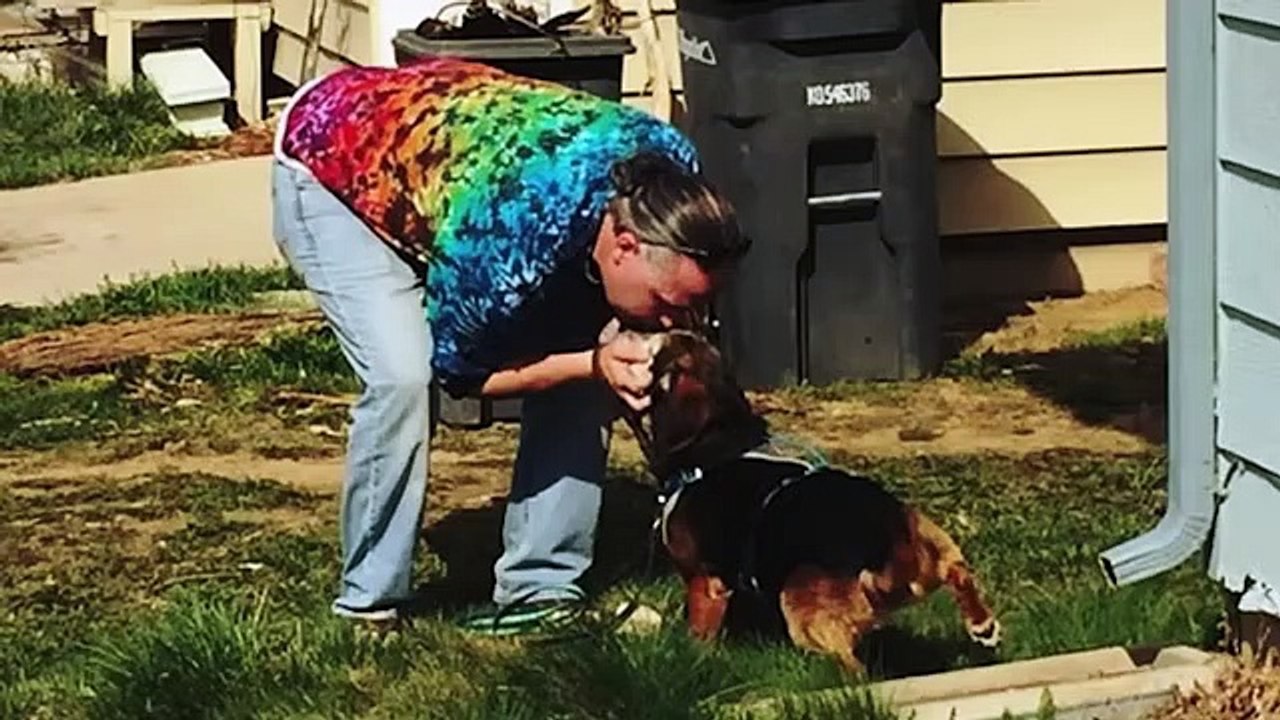 This Dog Went Missing For 2 Years. But When He Heard His Dad's Voice, Something Heartwarming Happens
