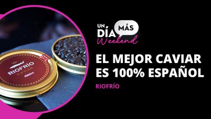 ¿Te gusta el caviar? ¿Sabías que es un producto 100% español? Javi Sánchez nos hace una exquisita degustación con caviar Riofrio, de Osborne