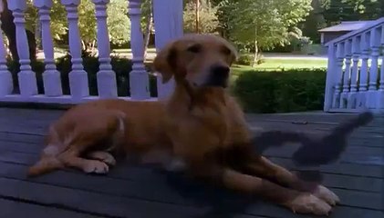 Goosebumps - Se3 - Ep03 - The House of No Return HD Watch