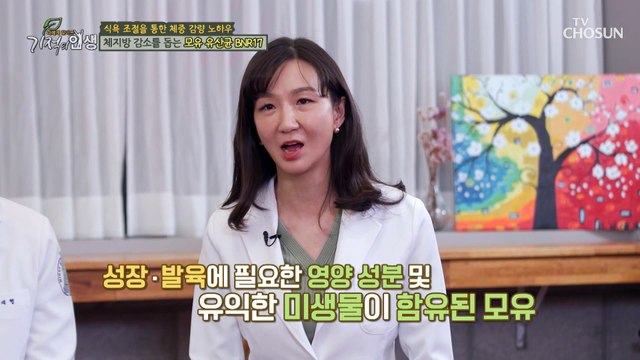 체지방 감소와 식욕 조절을 도와주는 ‘모유 유산균 BNR17’ TV CHOSUN 20221231 방송