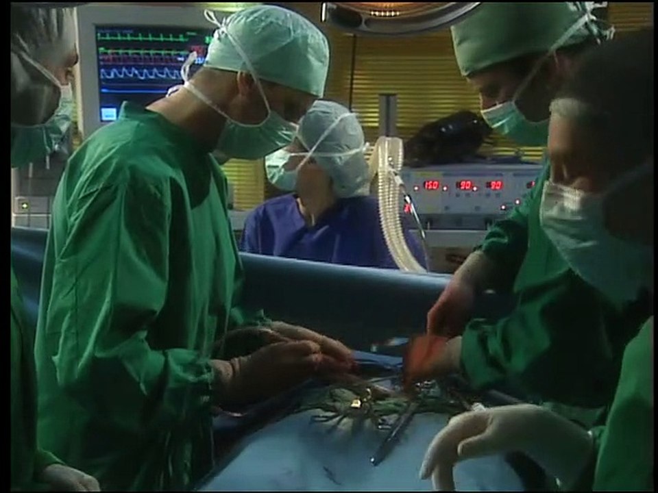 Alphateam - Die Lebensretter im OP Staffel 4 Folge 11